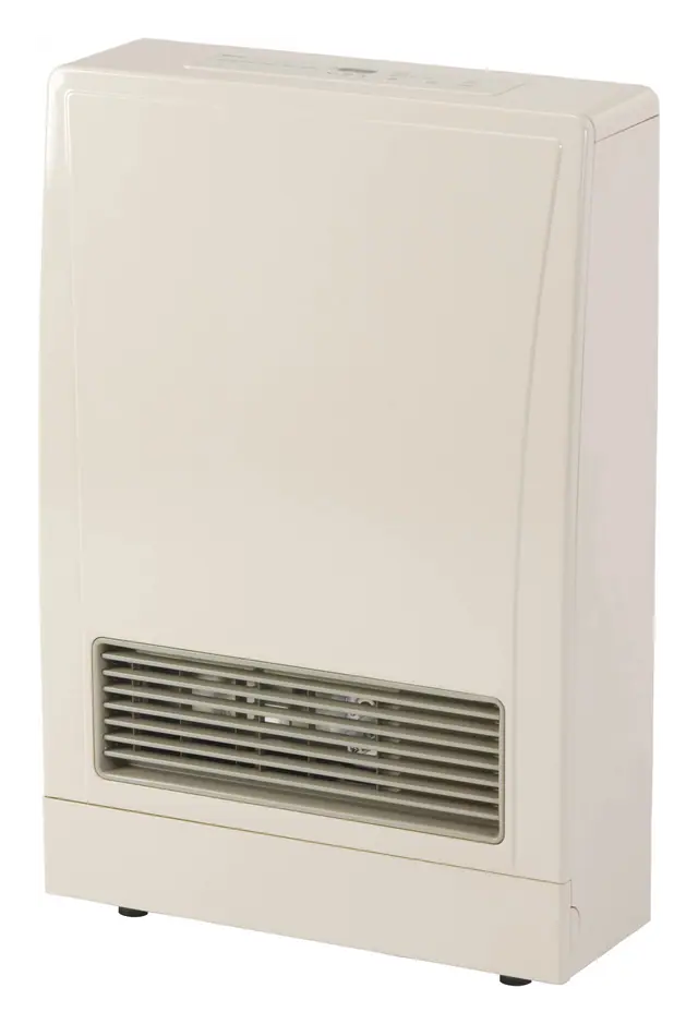 Rinnai EnergySaver EX11DT direct vent wall furnace