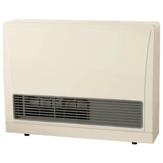 Rinnai EnergySaver EX17DT direct vent wall heater